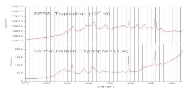 Comparison of Raman and SERS spectra